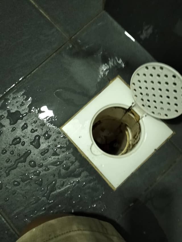 Pemasangan paip baru